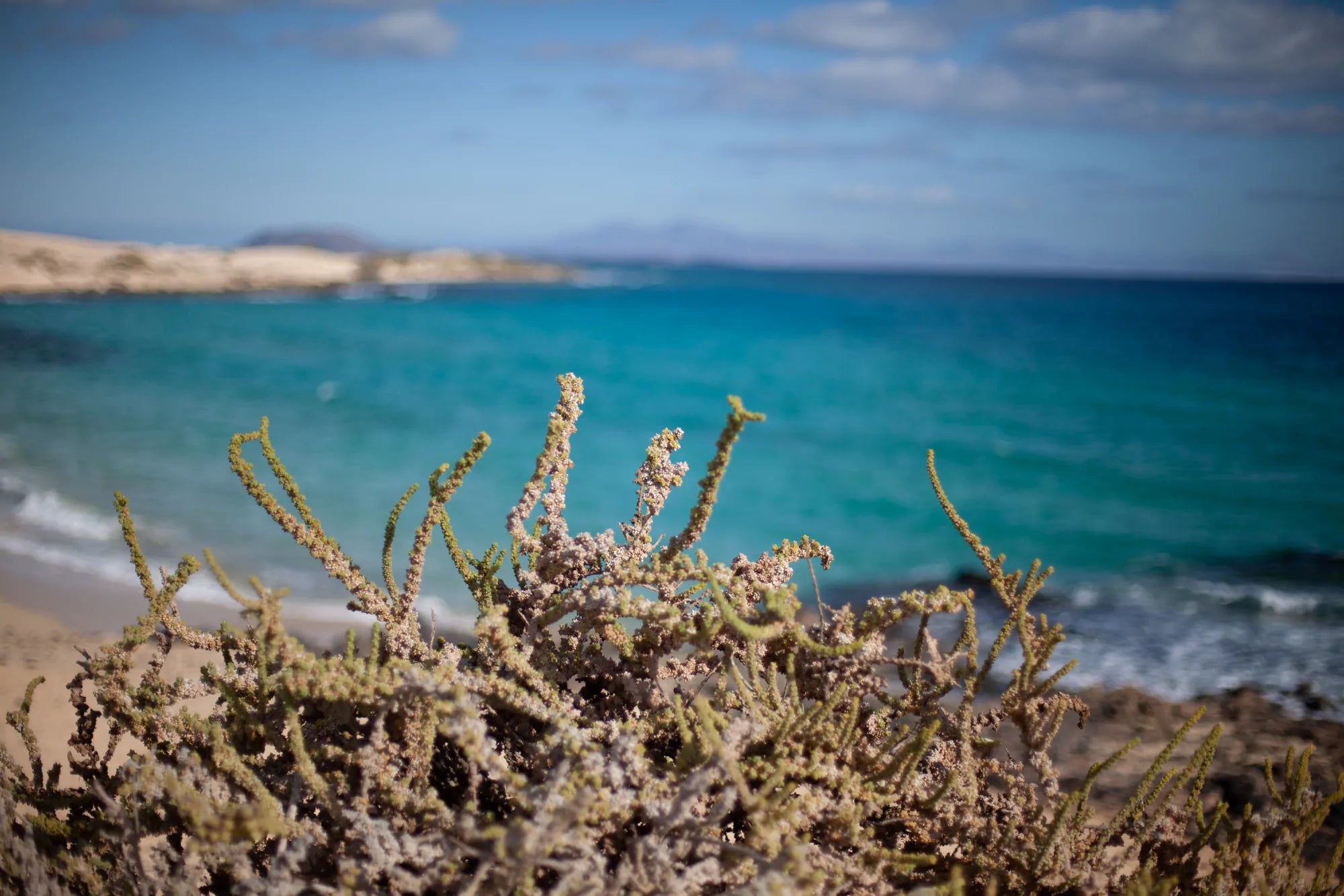 Strand am Meer