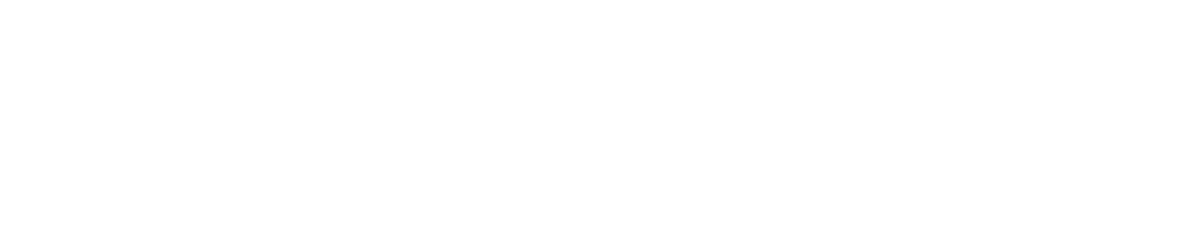 Logo von INASKA in Weiß